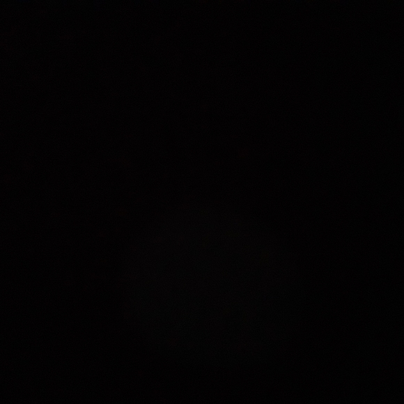 Meet your Posher, Vini - Picture 1 of 1